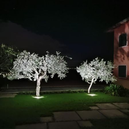 Nice Apartments Lake View & Free Parking Pastrengo Εξωτερικό φωτογραφία